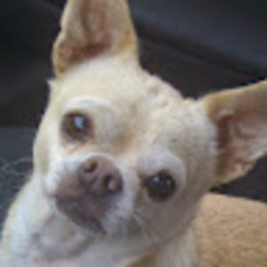 Meet your Posher, Stacy